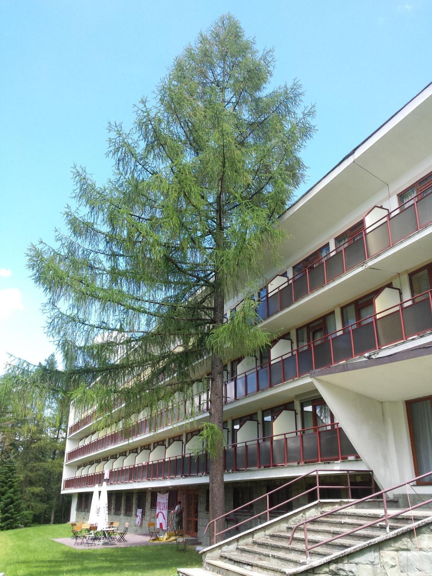 Geovita Zakopane Exterior foto